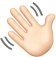 handicon